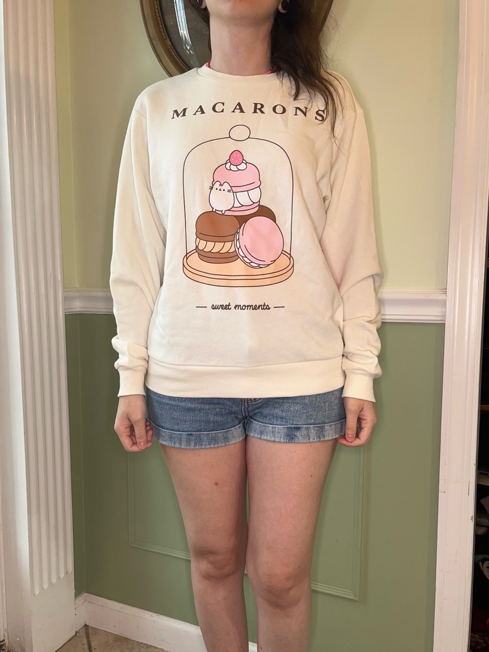 Pusheen Summer 2025 macaron sweatshirt